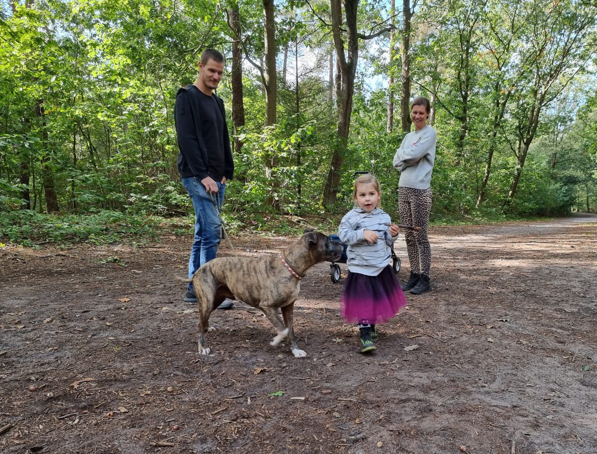 Noord-Brabant – Dagje weg, hond mee 🐕
