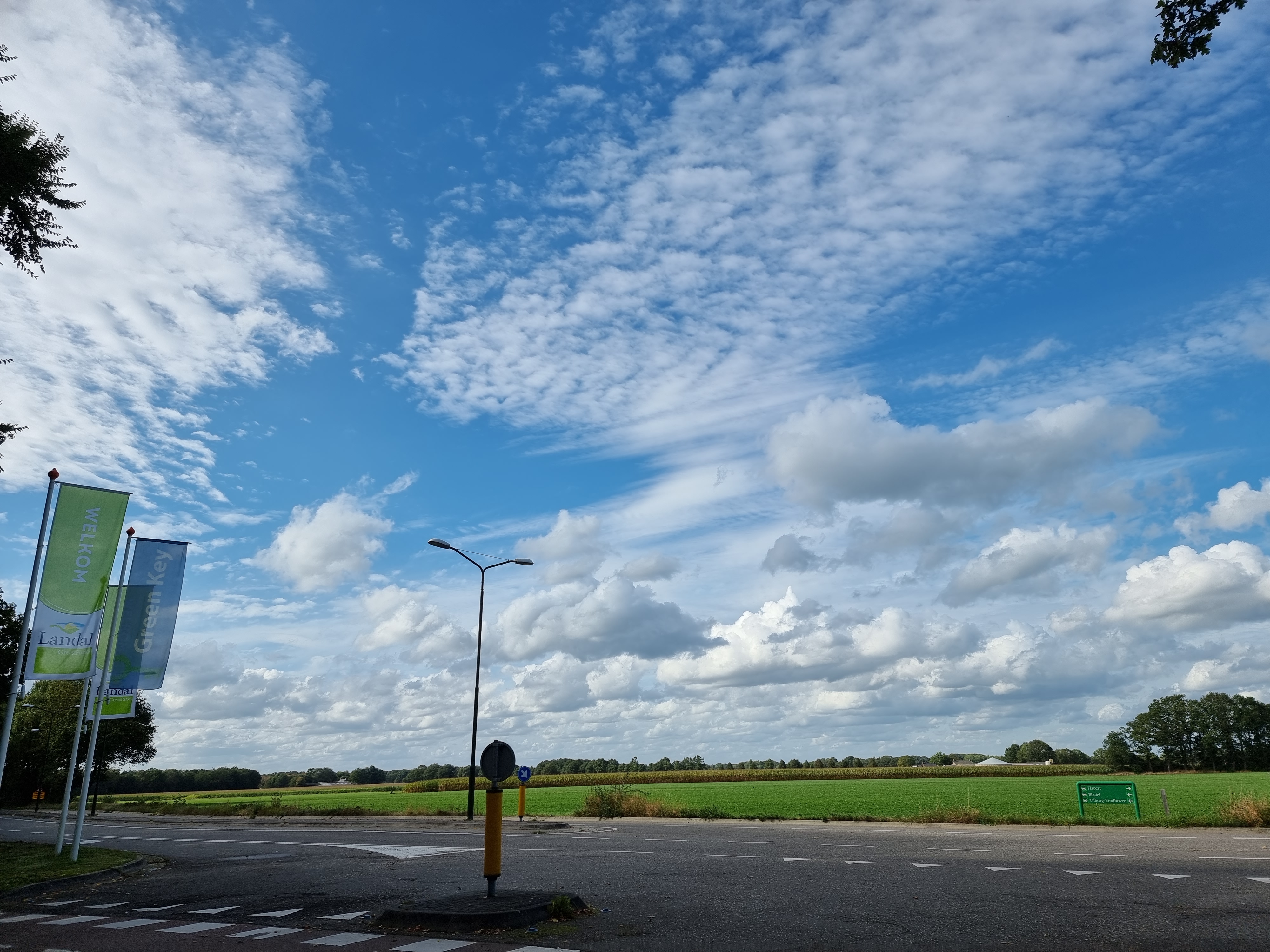 Landal Vennenbos hond mee