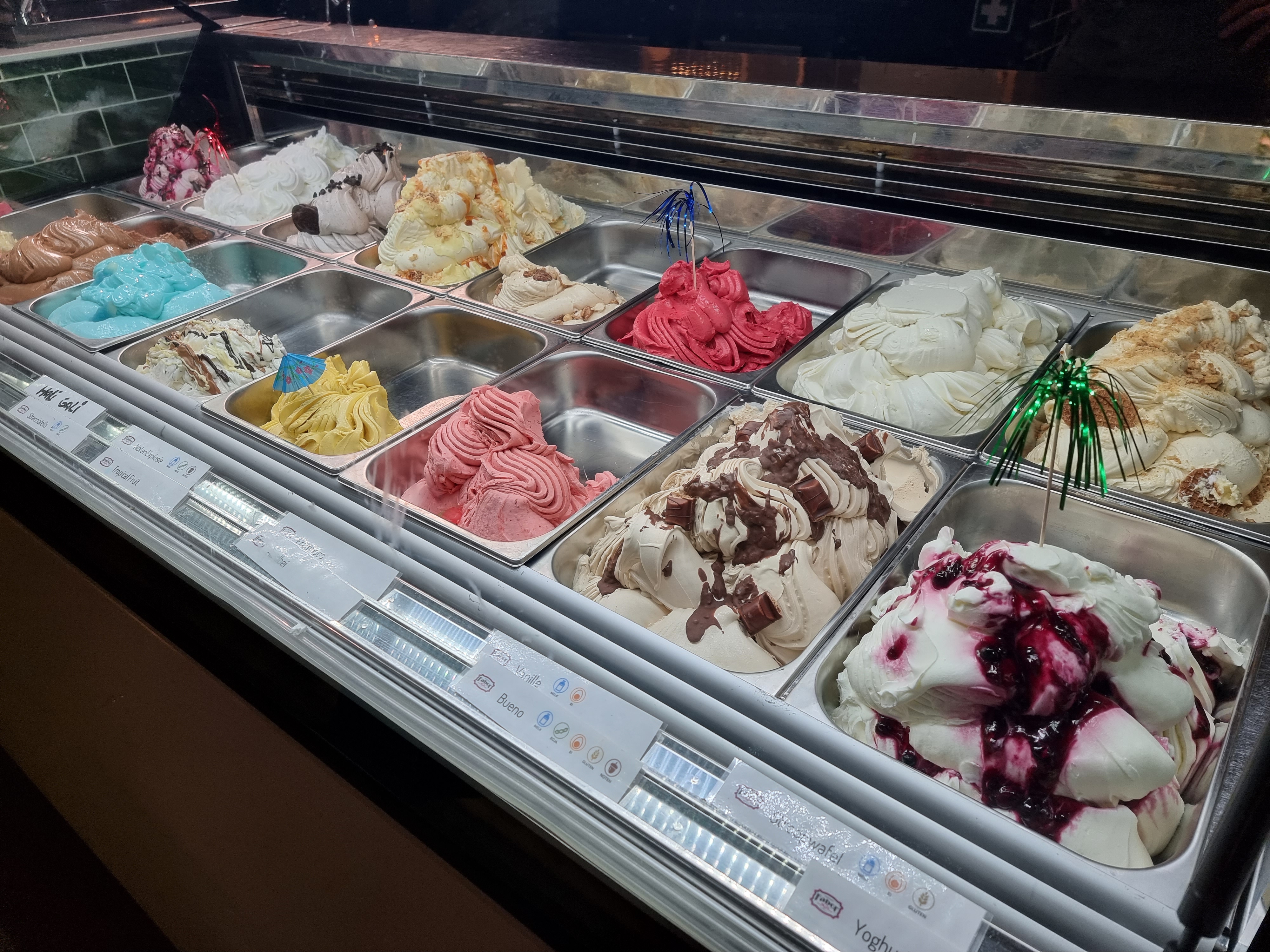 Landal Vennenbos hond mee