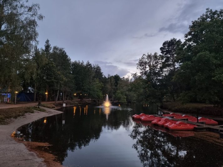 Landal Vennenbos hond mee