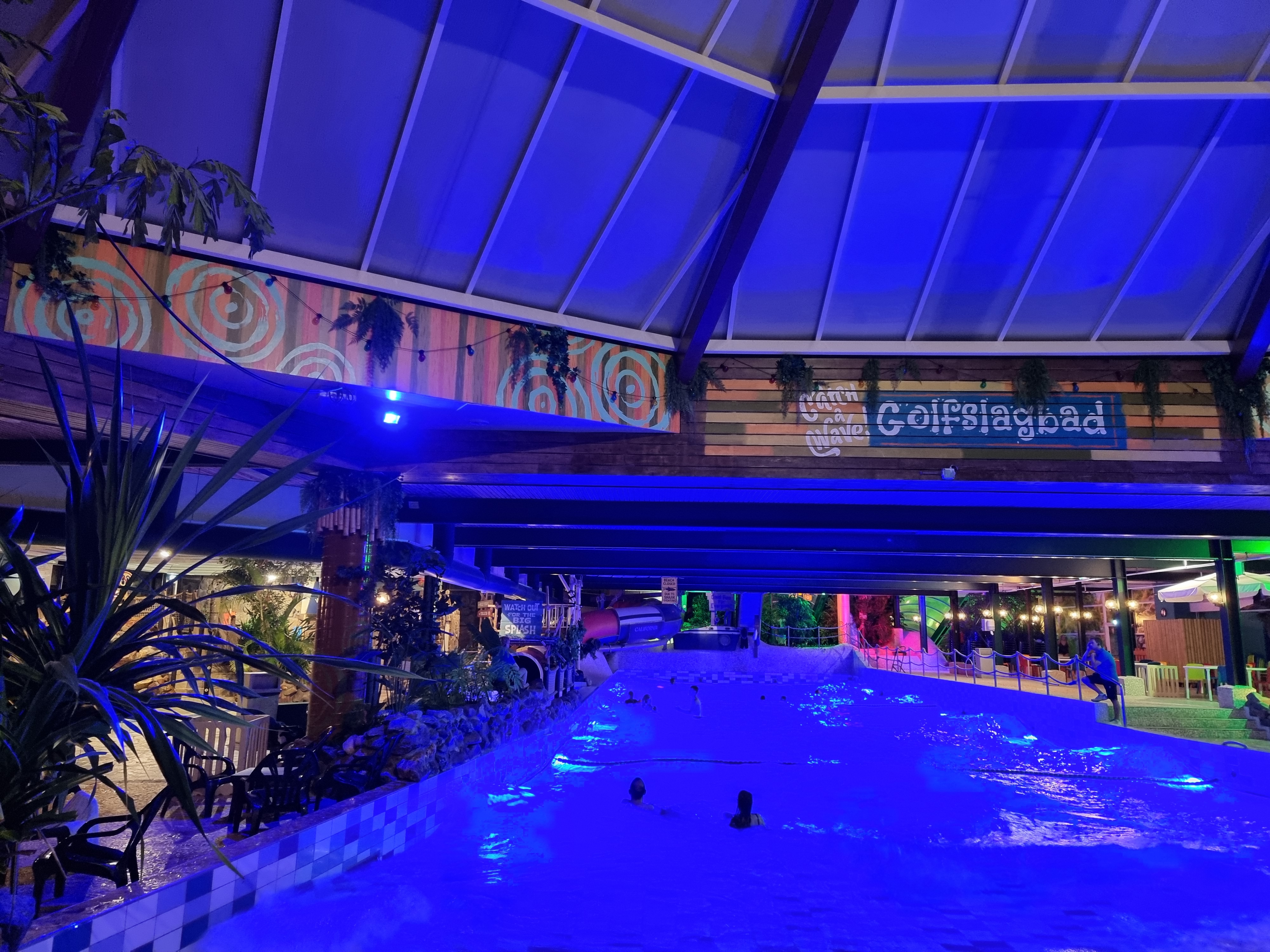 Landal Vennenbos hond mee