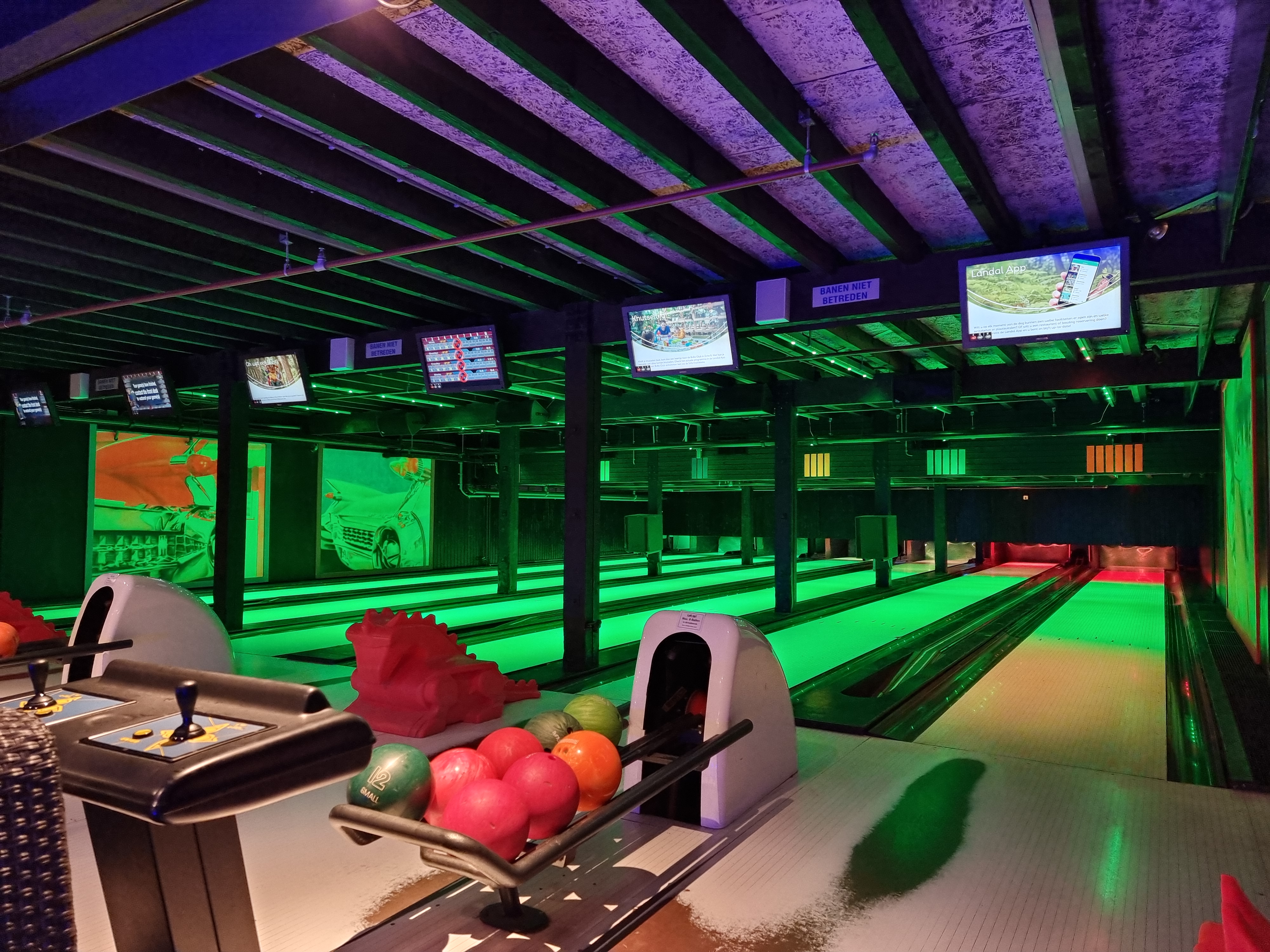 Landal Vennenbos hond mee