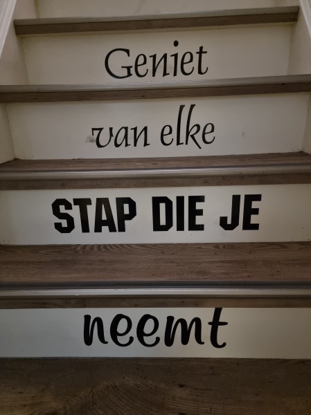 contente menneke landal vennenbos