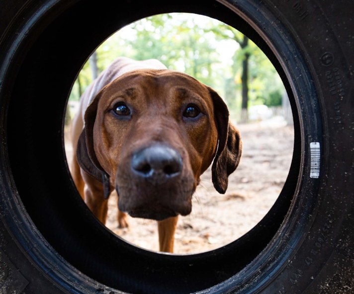 topparken beekbergen