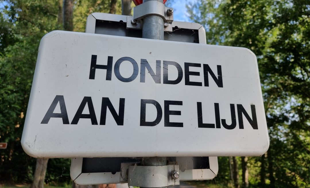 honden aan de lijn