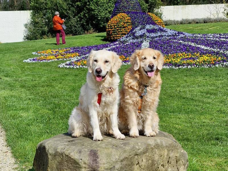 Kasteeltuinen in Arcen, Limburg