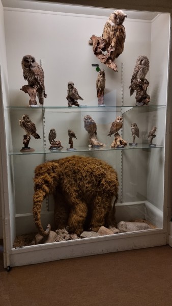 Natuurmuseum Holterberg