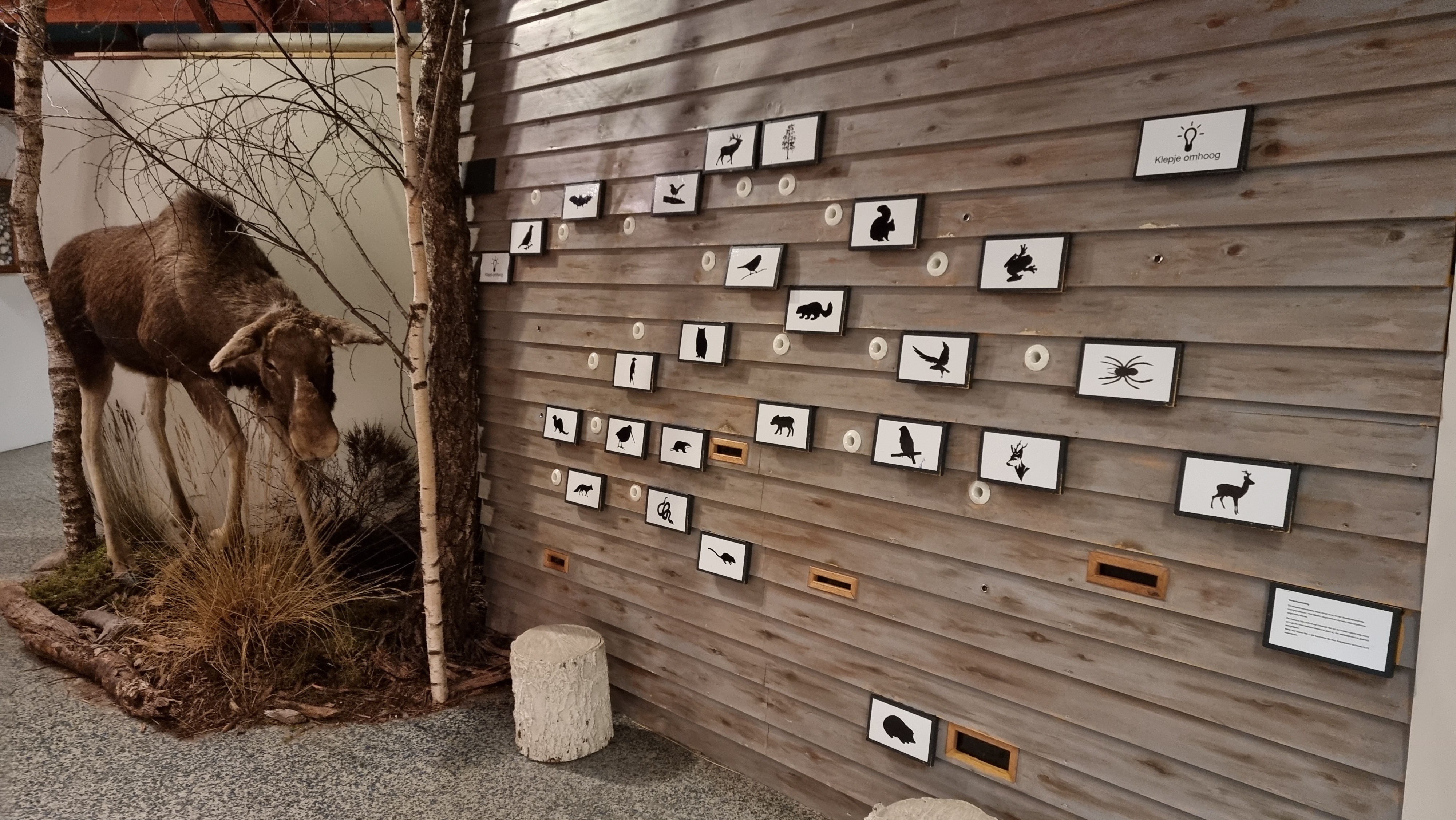 Natuurmuseum Holterberg