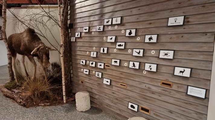 Natuurmuseum Holterberg