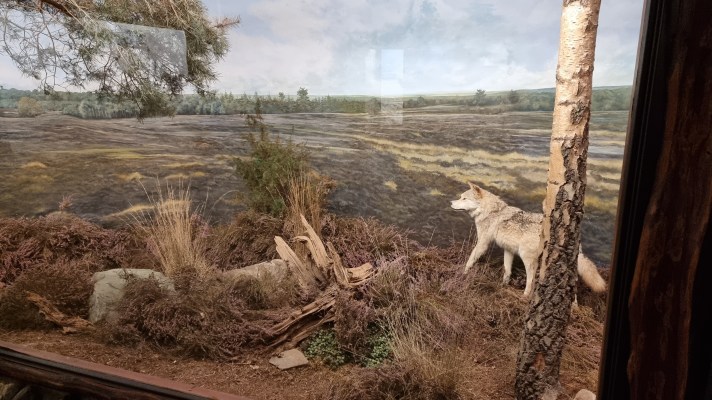 Natuurmuseum Holterberg