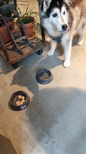 appeltern adventure gardens