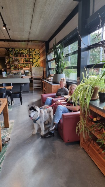 appeltern adventure gardens