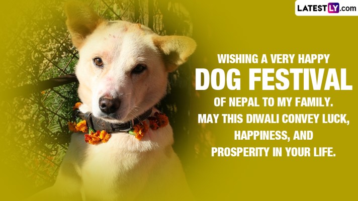 dog diwali
