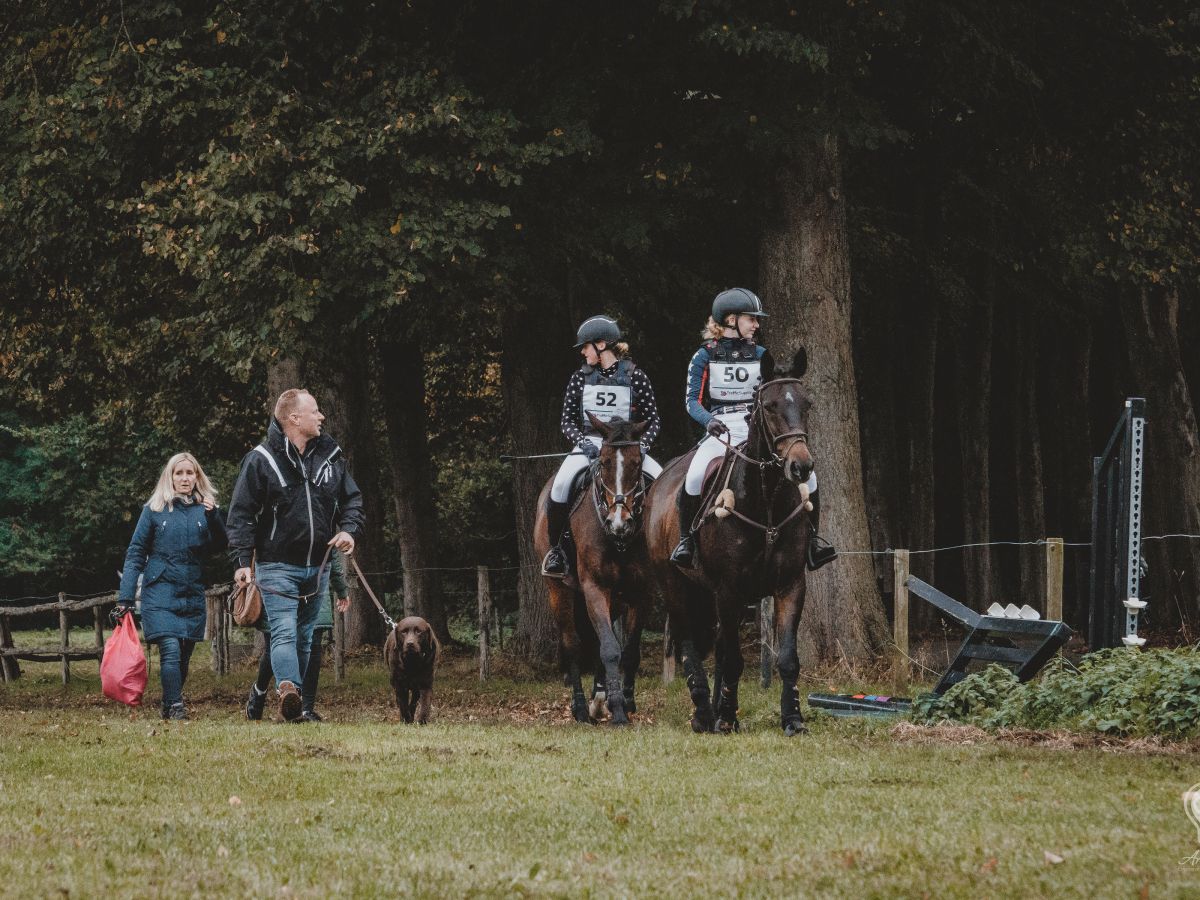 NIEUW: agenda Dagje Weg, Hond Mee