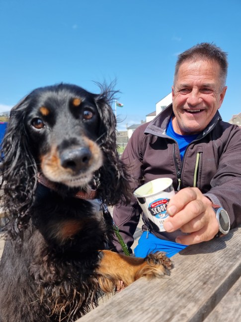 hond en ijs in wales