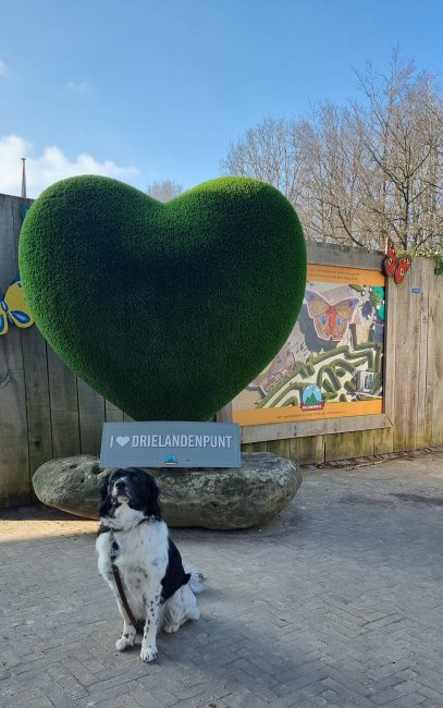 drielandenpunt vaals