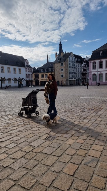 Landal Sonnenberg hond mee