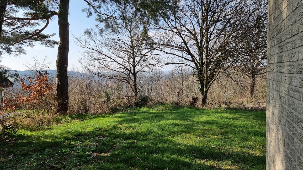 Landal Sonnenberg hond mee