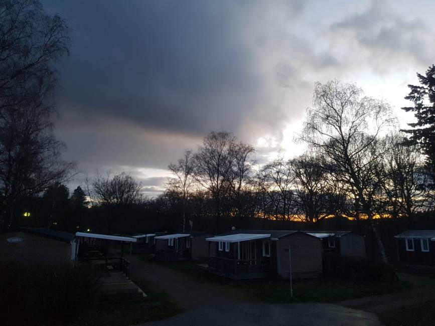 Landal Sonnenberg hond mee