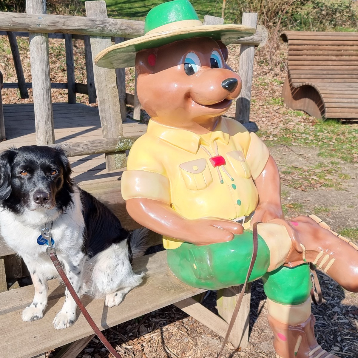 Boek hier Landal Hondenbungalows 🐕