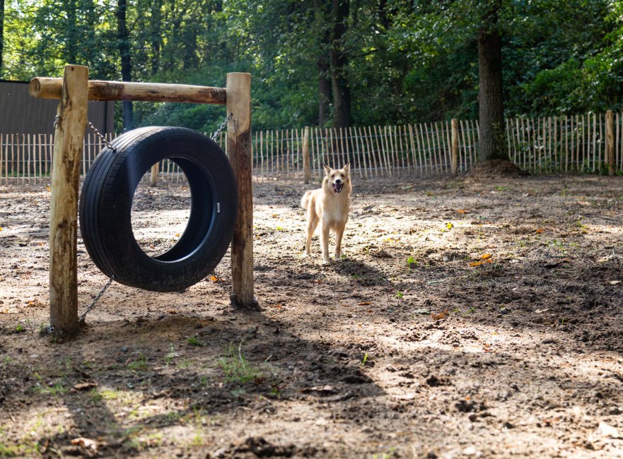 topparken beekbergen