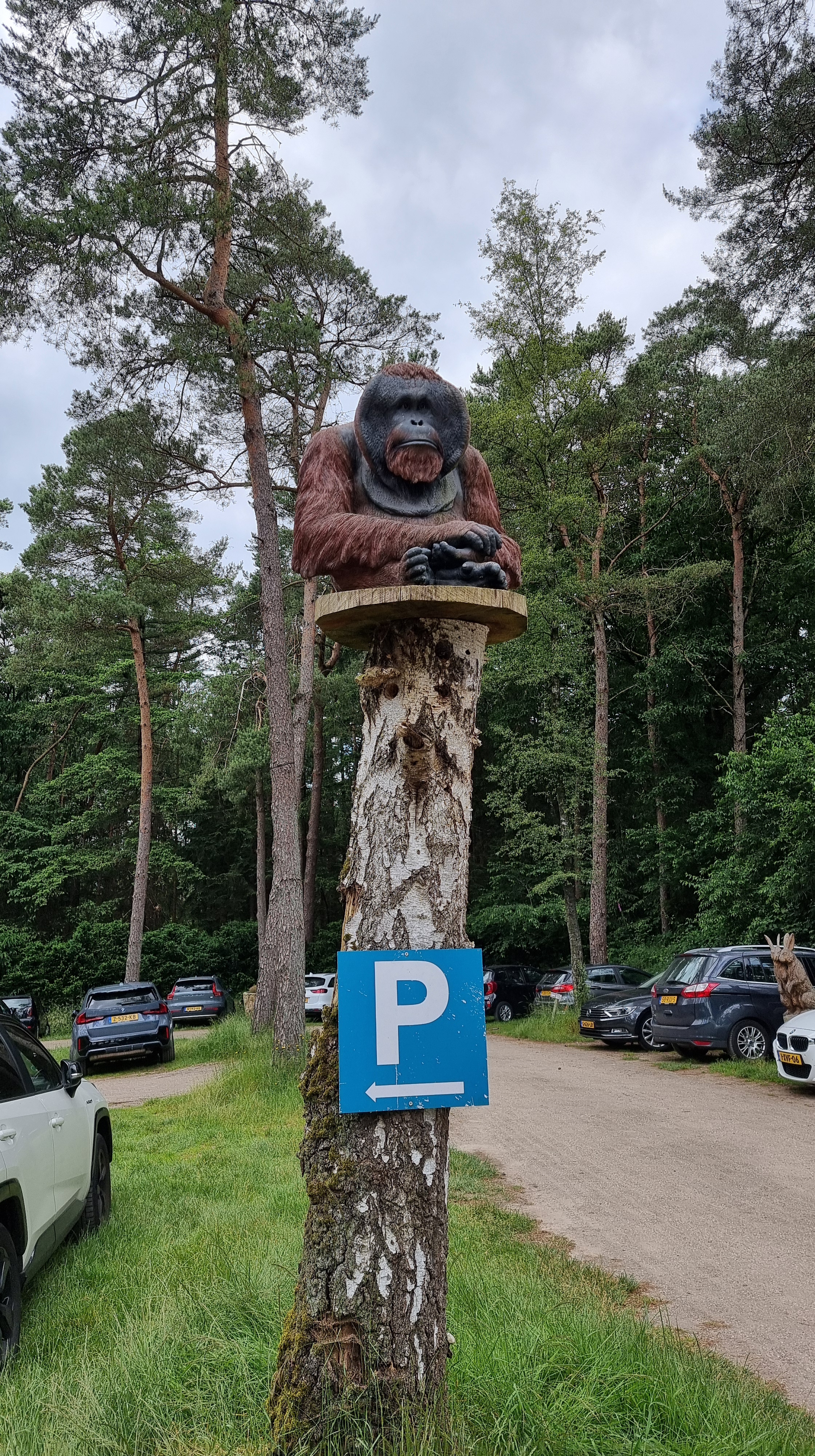 zandsculpturen garderen