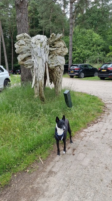 zandsculpturen garderen
