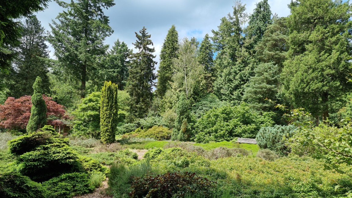 nationaal bomenmuseum