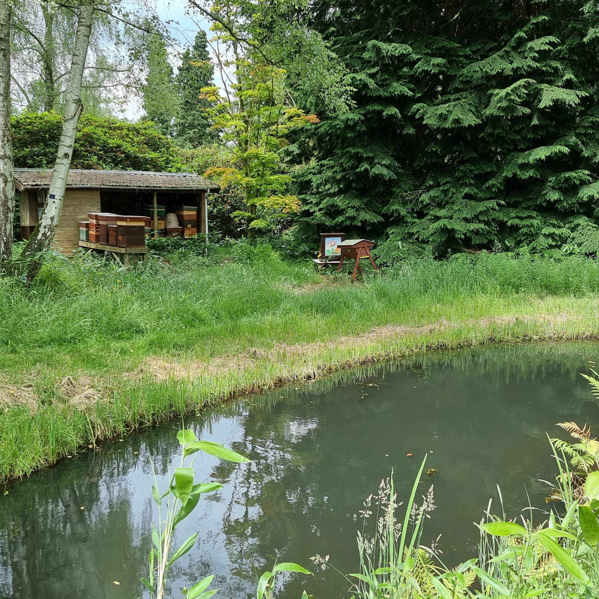 nationaal bomenmuseum