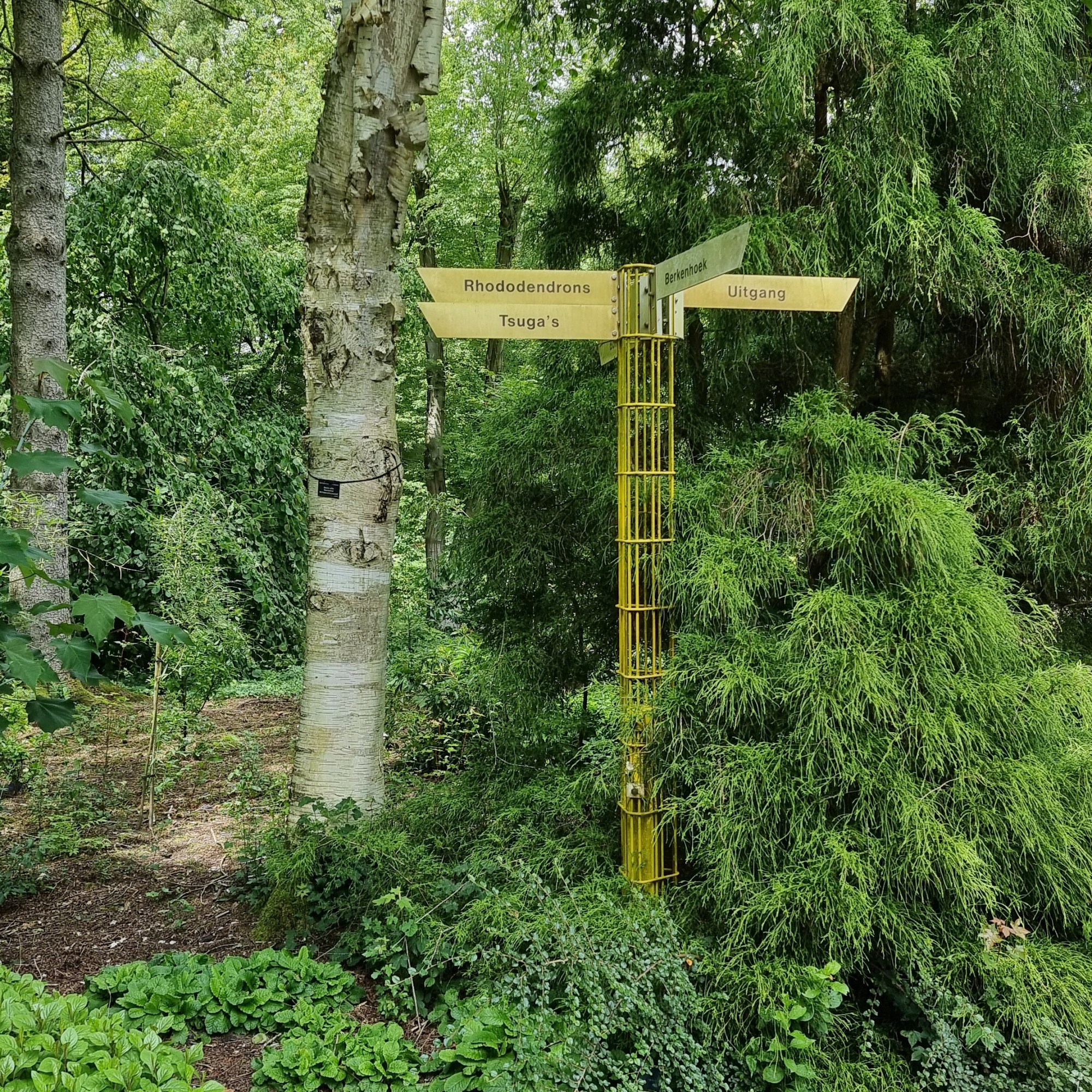 nationaal bomenmuseum