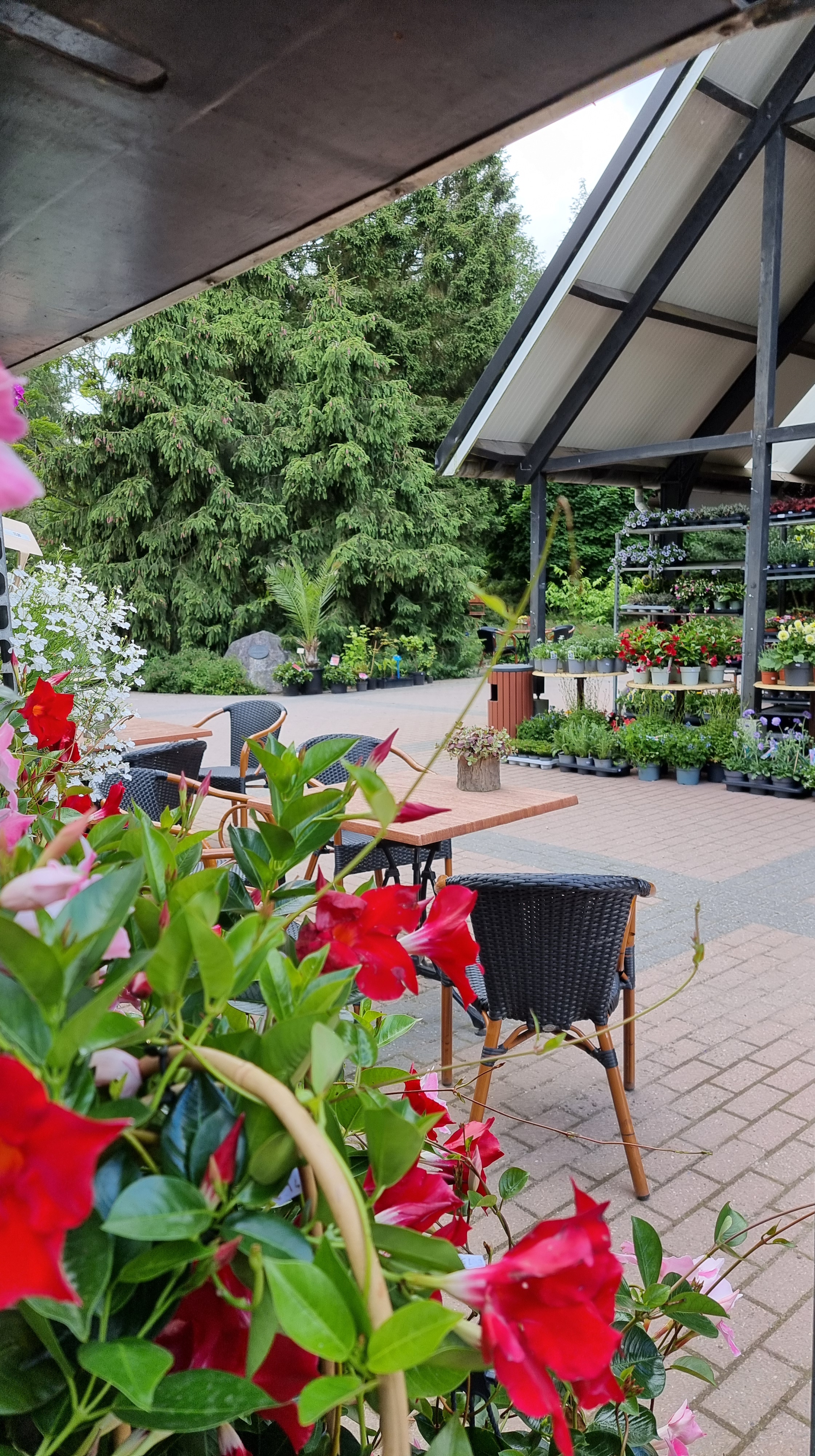 nationaal bomenmuseum