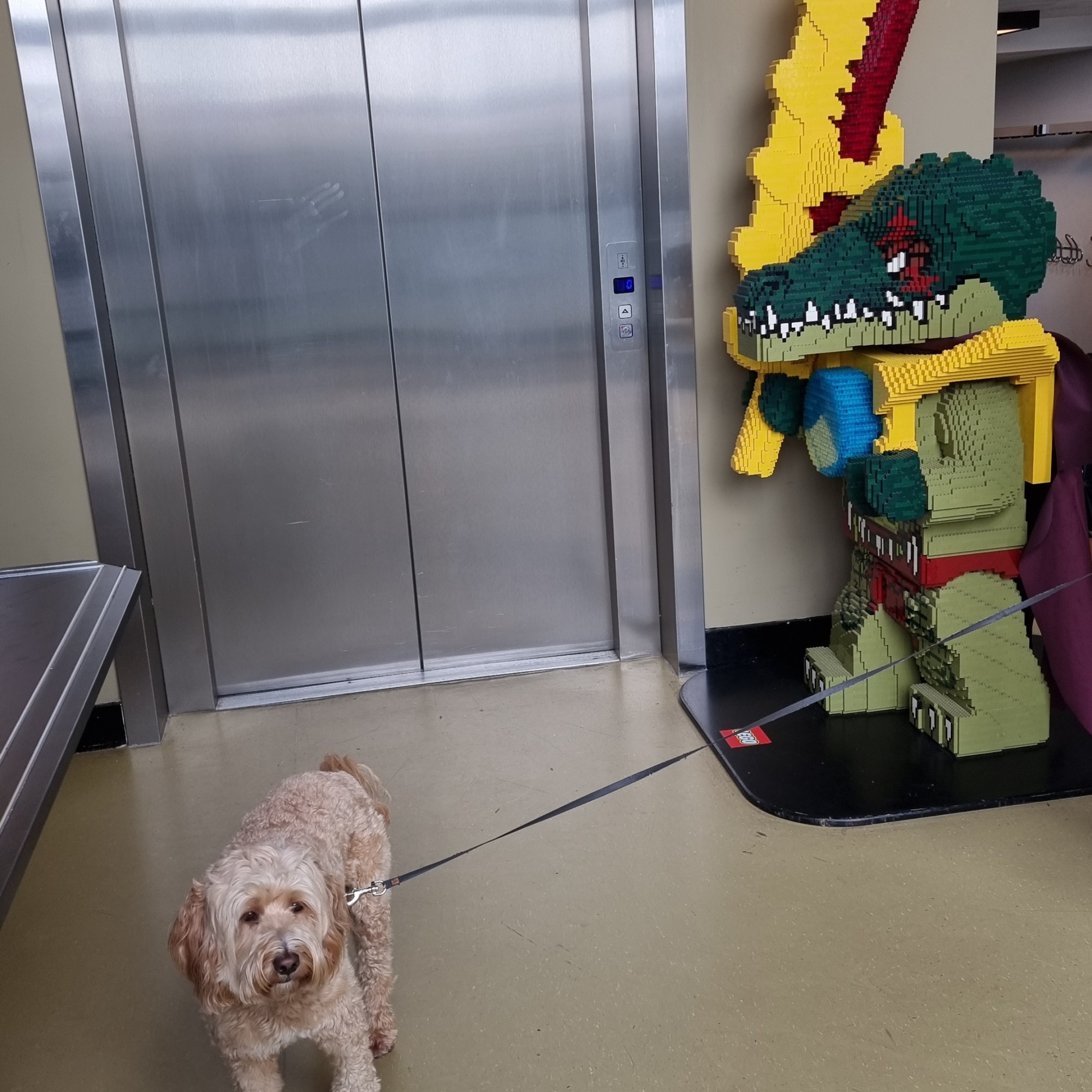 Museum twintigste eeuw