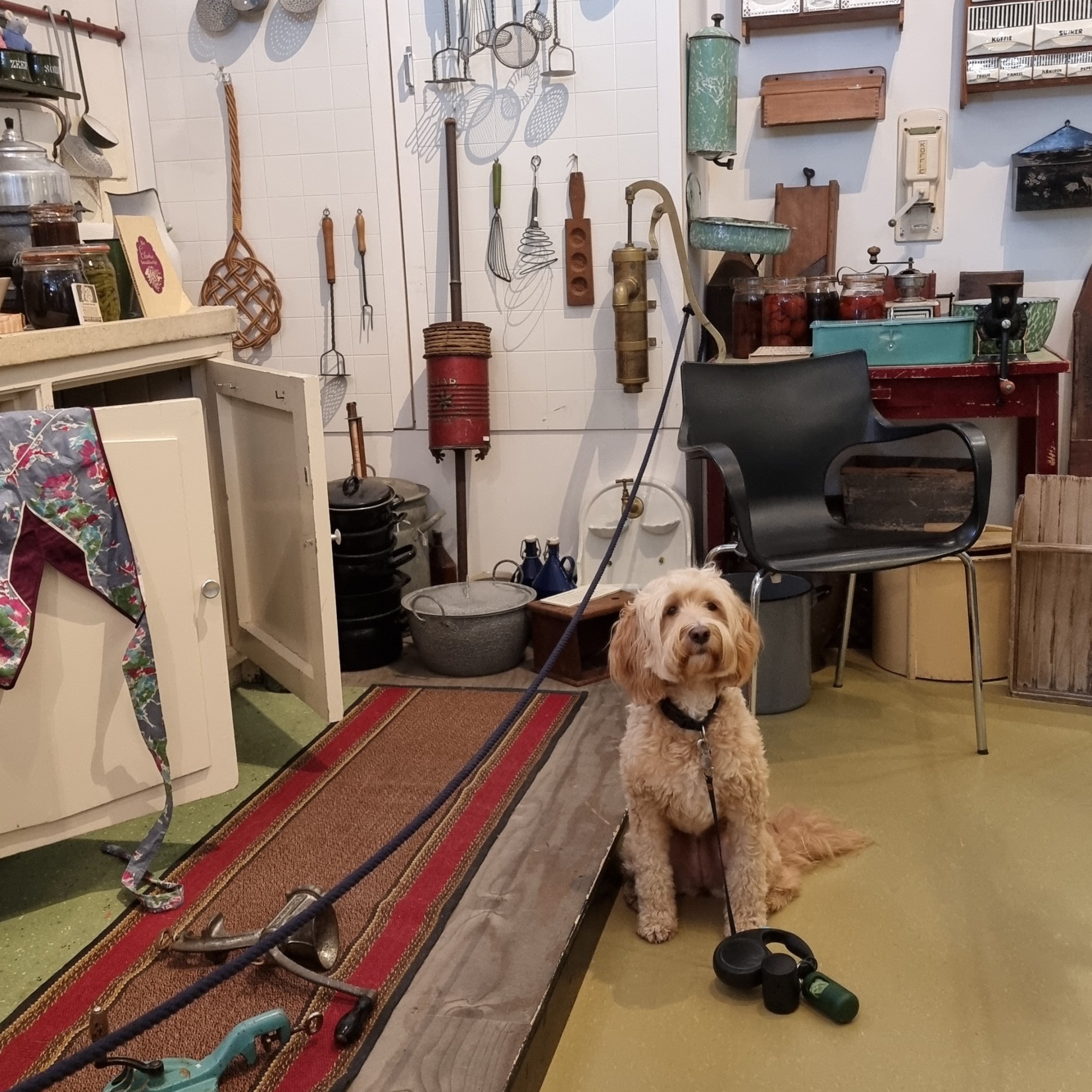 Museum twintigste eeuw