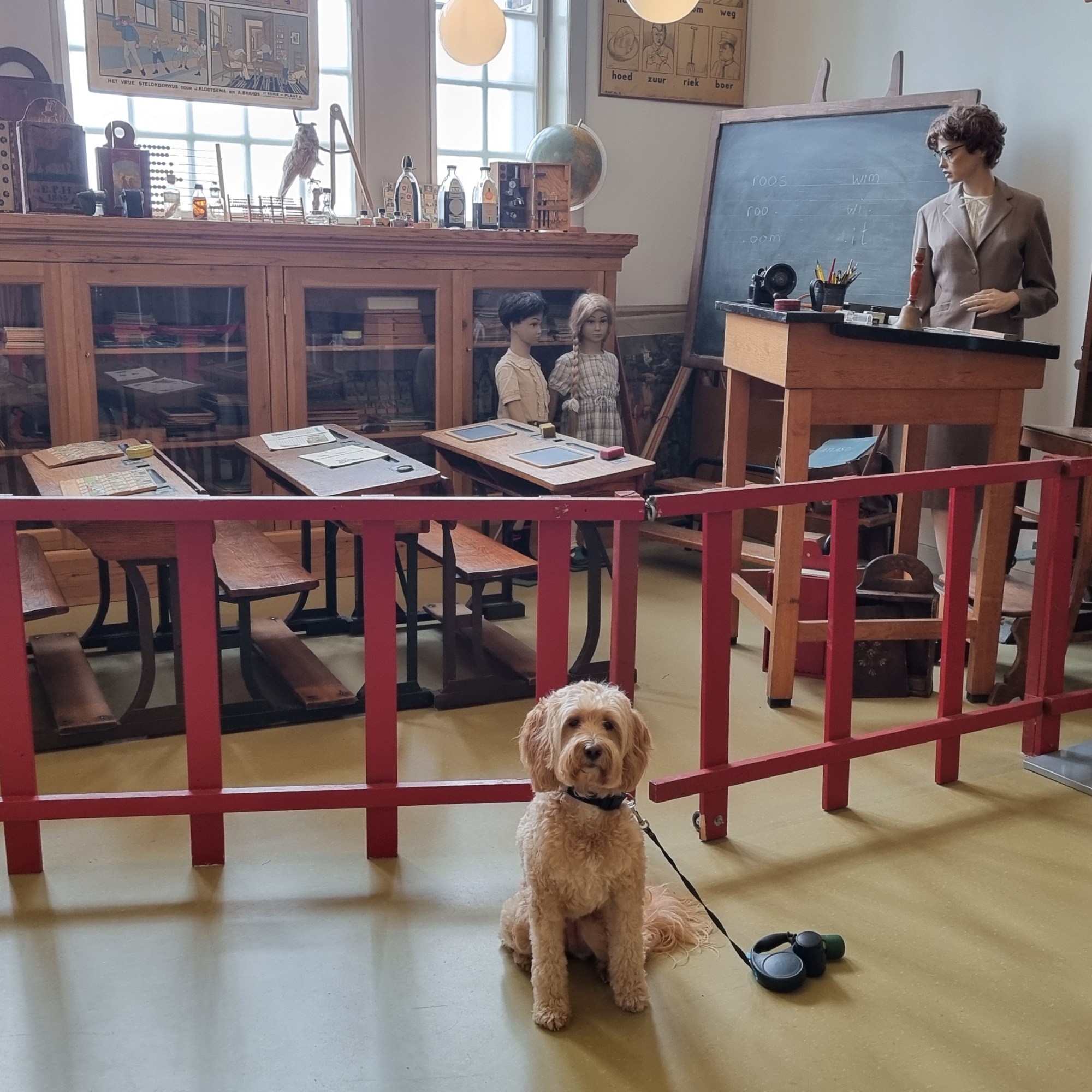 Museum twintigste eeuw