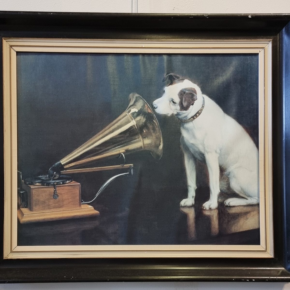 Favoriet van het Jaar