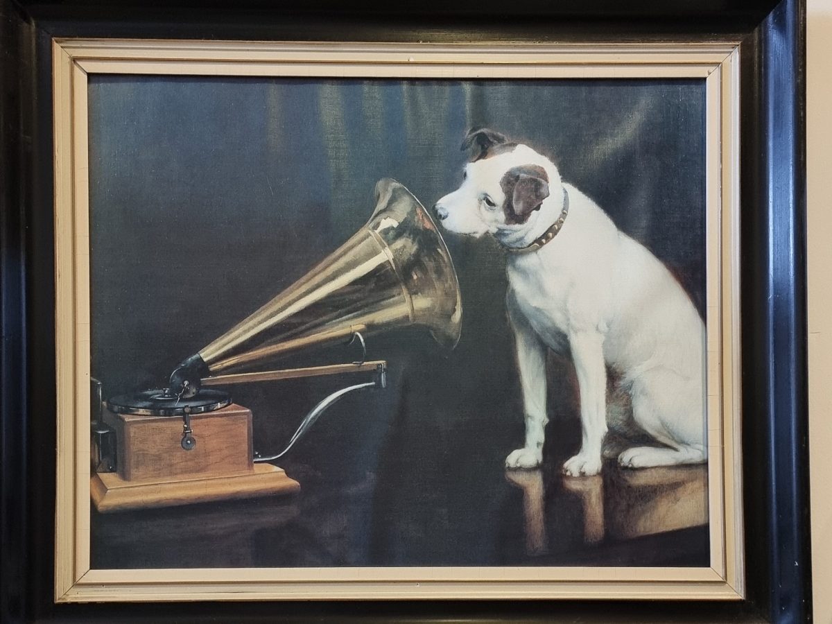 Favoriet van het Jaar