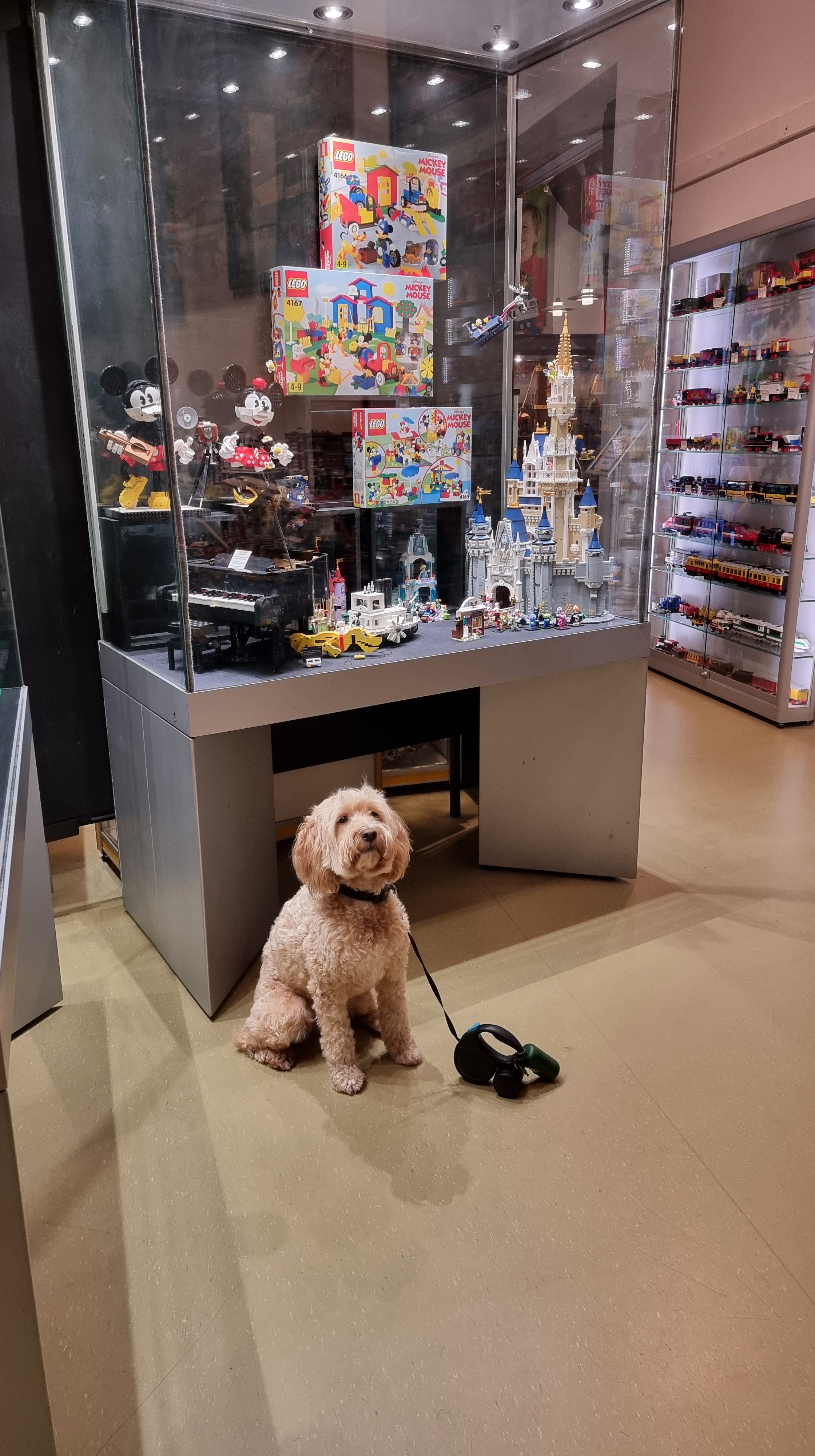 Museum twintigste eeuw