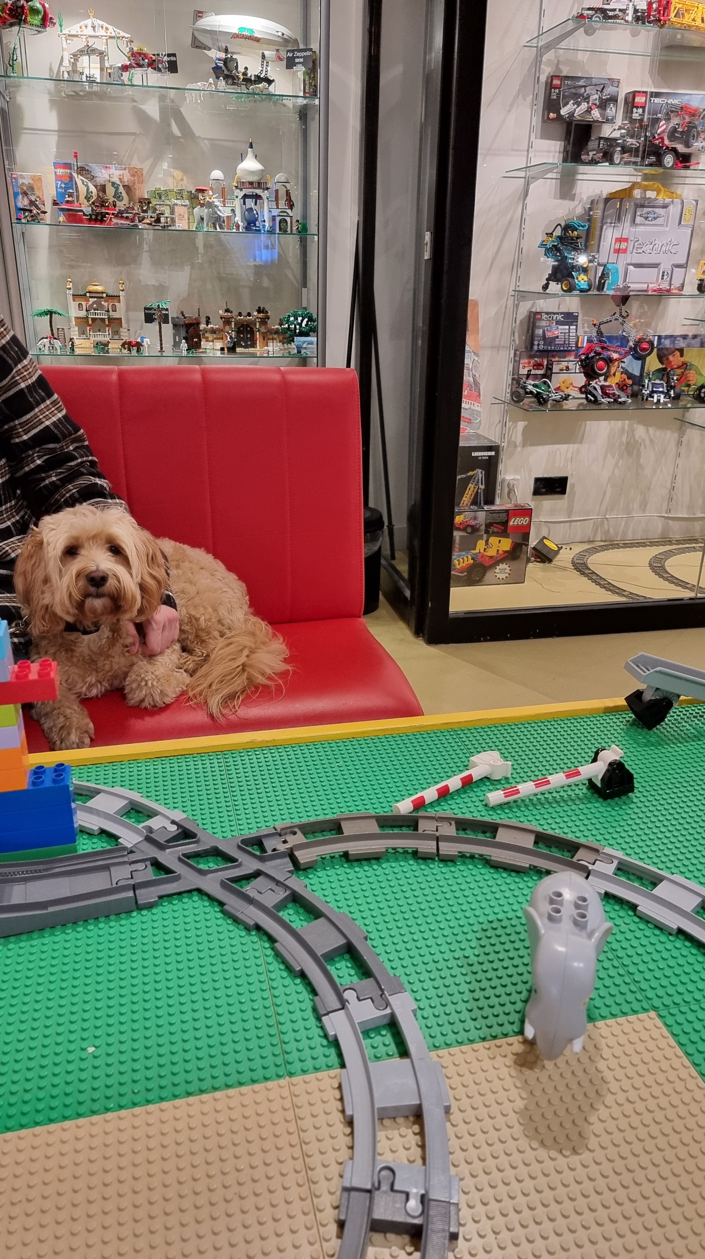 Museum twintigste eeuw