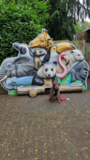 ouwehands dierenpark