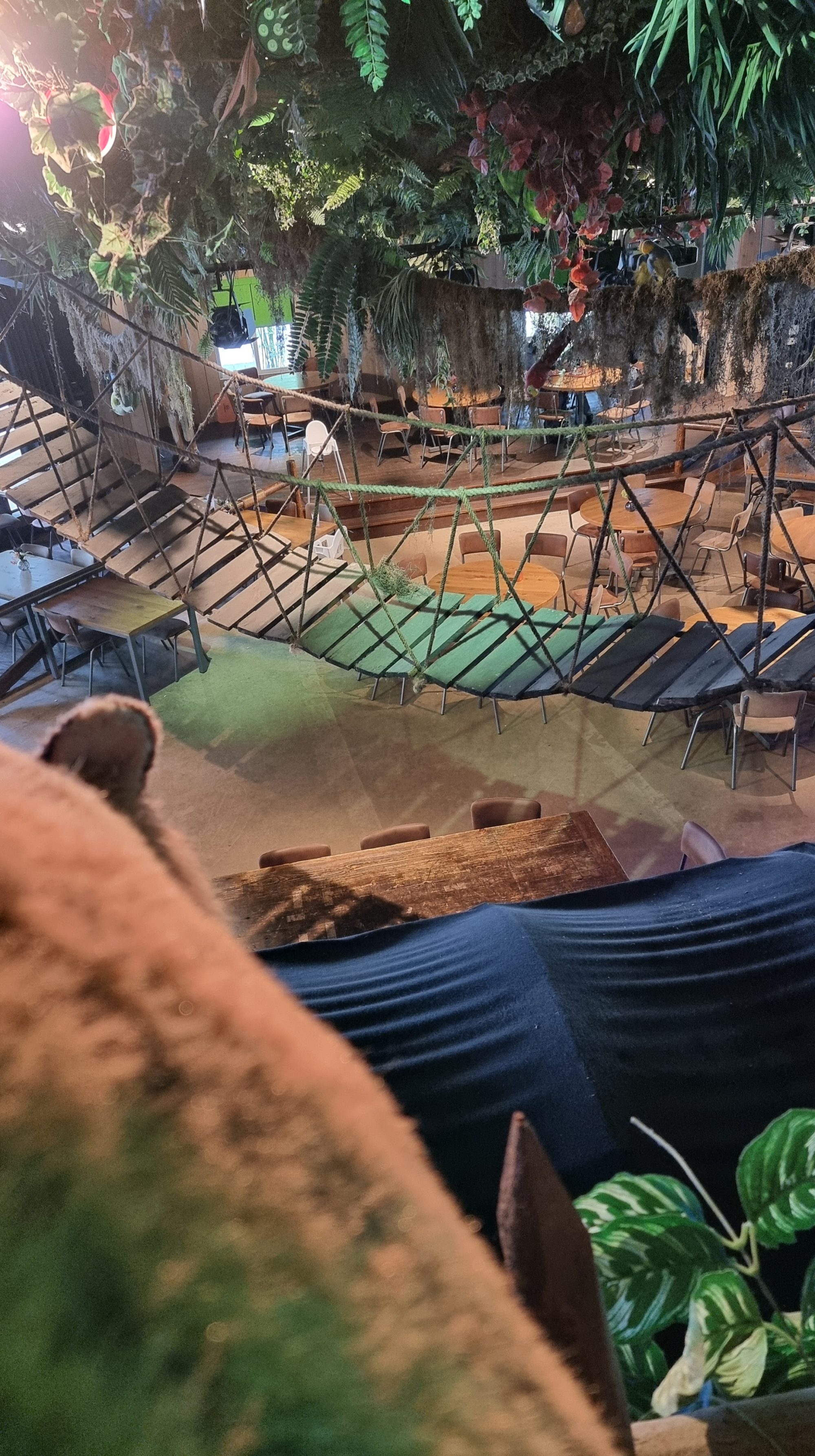 ouwehands dierenpark