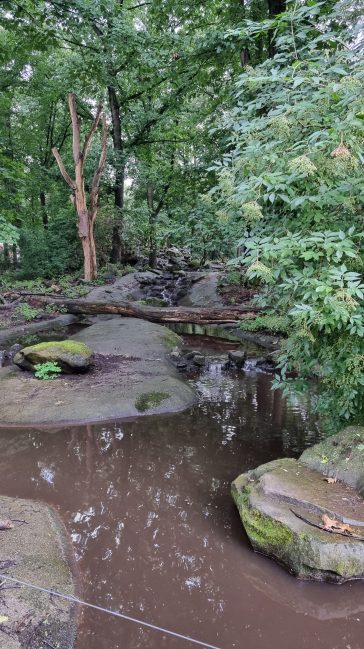 ouwehands dierenpark