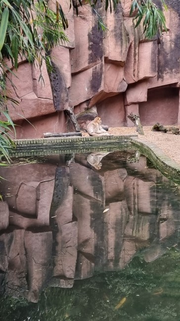 ouwehands dierenpark