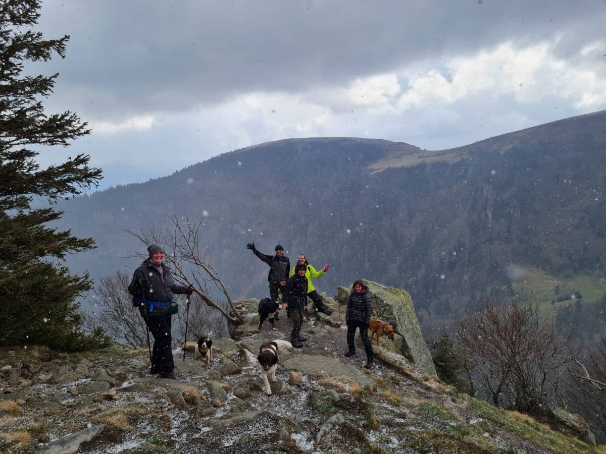 Op reis met Dog Travel