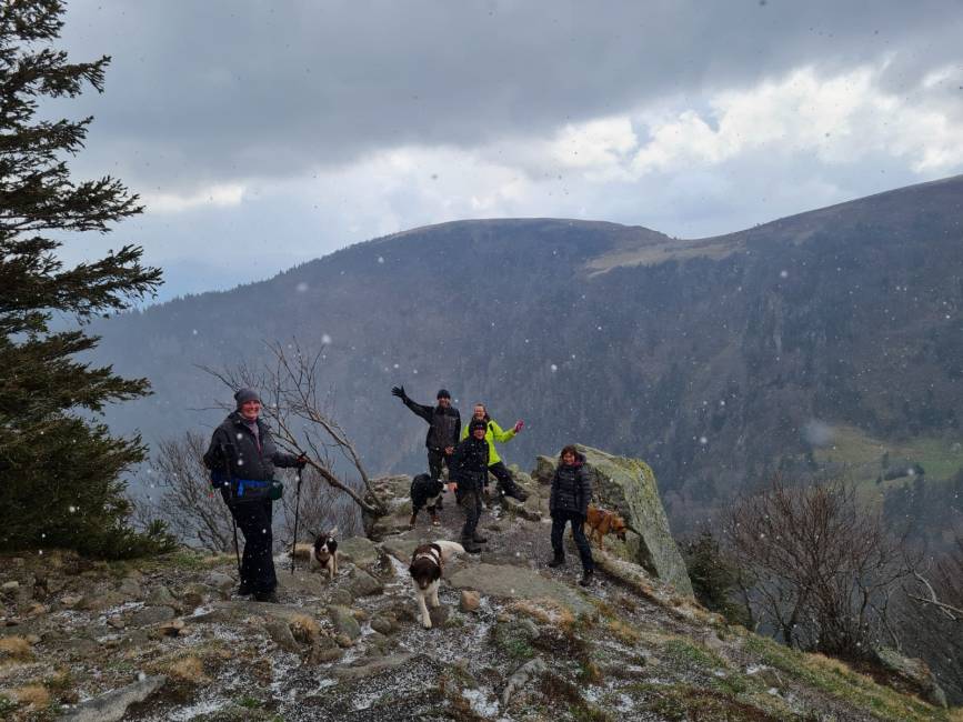 Op reis met Dog Travel