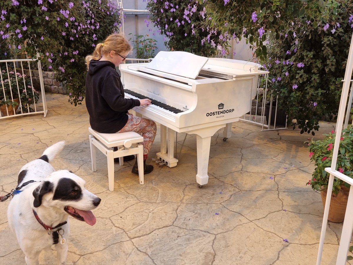 Flevoland – dagje weg, hond mee