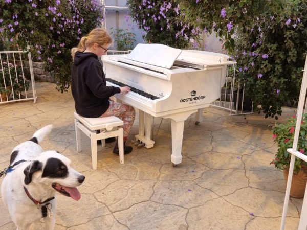 Jullie favoriete dagje weg, hond mee