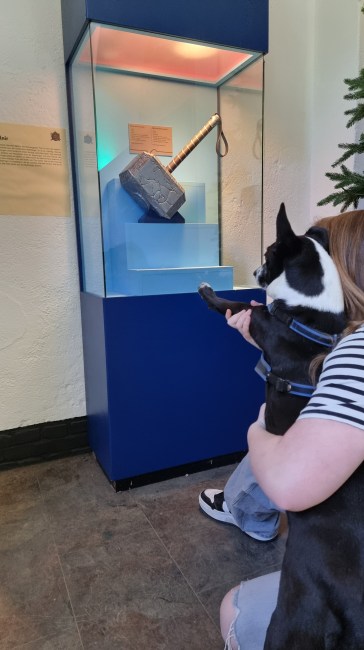 Museumpark Orientalis