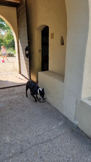 Museumpark orientalis