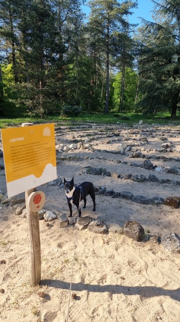 Museumpark Orientalis