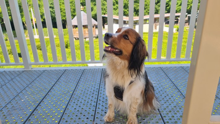 drielandenpunt vaals